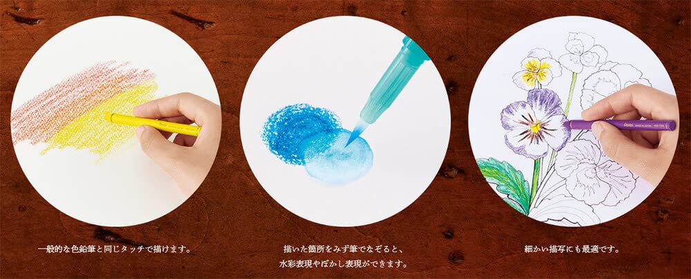Amazon | ぺんてる ヴィスタージュ 水彩色鉛筆 水彩スティック ミント
